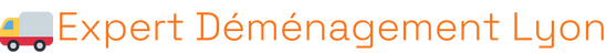 Déménageur Lyon 8